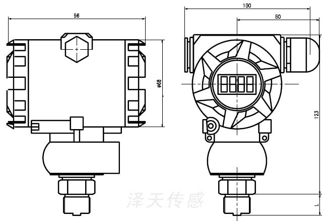工业防爆压力变送器2088外形尺寸CAD图